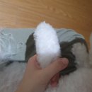 노크노크 강아지미용실 이미지