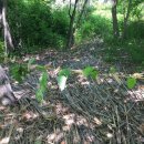 푸른스쿨어린이집 이미지