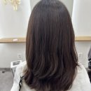 102호여자 | [대전 미용실] "쉐어에비뉴 102호" 커트, 단발펌 후기