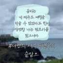 즉흥 제주여행✈️ 제주 핫플 모음! 함덕찜, 닭머르해안 (+제주공항렌트카 추천)