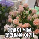 산호대로35길 이미지