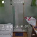 돈은 없지만 독립은 하고싶어 브런치 &lt; 고시원 생존기 &gt; 출판 도서 후기