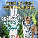 2024 여름맞이! 건강정보 총정리! 이미지