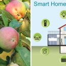 4차 산업혁명과 스마트 팜 이미지