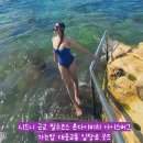 뉴비치 여자 경로당 | 시드니 근교 필수코스 본다이비치 아이스버그 가는법 대중교통 입장료 굿즈