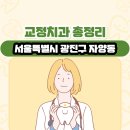 서울특별시 광진구 자양동 교정치과 총정리