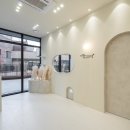 디어,도트 이미지