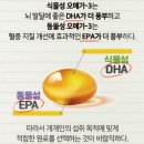 입장중앙건강기능식품 | 고려은단 오메가3 식물성 : RTG형 (내돈내산건강기능식품후기)