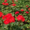 성산원광어린이집 이미지