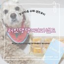 러빗댕댕 이미지