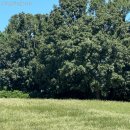 선학역 1번출구 이미지