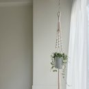 목포중앙초등학교 이미지