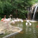 농지목장 이미지