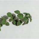 음악과 함께하는 마음 여행 이미지