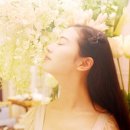 워너비성형외과의원 이미지