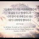 오늘의 '영어성경 사진'(258강) “하나님의 선언(宣言)”(민수기 14장 28절) 이미지