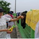 고현초교 이미지