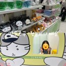 문구프라자 | AK 플라자 홍대 팝업 연도문구 행운의 아이템 상점 방문 후기