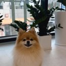 리타임뷰티