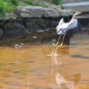 리드힐병원 이미지