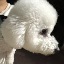 늘 너에개 이미지