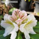 에바다농장 이미지