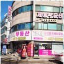 정성부동산중개 이미지