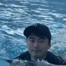 빌라 데 몬타냐 경주 이미지