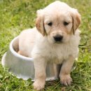 마곡나무 동물병원 이미지