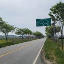 국도23호선가로수 이미지