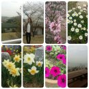 완성농장 이미지