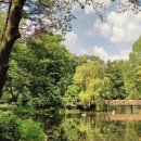 도전뽑기천국 이미지