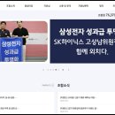 삼성전자 노사·주주가 모두 좋아할 ‘우리사주 무상출자’ 이미지