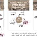 백영고등학교 앞 이미지