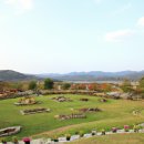 대신주말농장 정보화마을 이미지