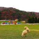 순흥목장 이미지