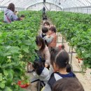 키즈로스쿨어린이집 이미지