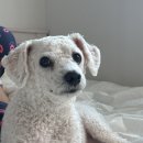 공원로 16길 이미지