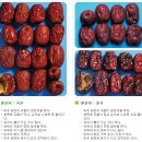 사라졌던 보은 약대추 다시, 생대추로 이름을 얻다 이미지