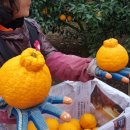 이기한농장 이미지