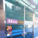 우산속라이브 이미지