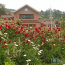 동아부동산중개사무소 이미지