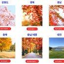 다인파크 이미지