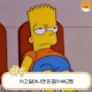 내몸밸런스