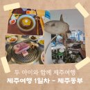 세븐일레븐제주이도명주점 | 제주도 여행｜두 아이와 함께하는 제주여행 1일차 : 제주 동부여행(퀸제누비아2호, 해양동물박물관...