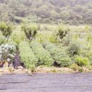 두식농장 이미지