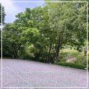 일출 난 농원 이미지