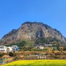 문섬·범섬천연보호구역 | 자연, 역사, 민속, 언어의 화산섬 제주도-5