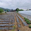 이모네 밥집 이미지