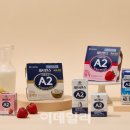 A2 이미지